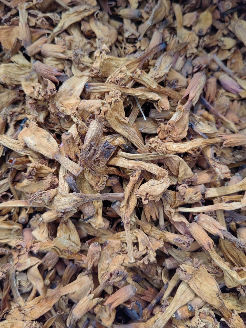 Ling Xiao Hua (Campsis grandiflora) — Dried Chinese Trumpet Creeper Flower, Food Herb overview