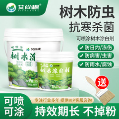 樹木に白剤を塗って虫を防いで病気を予防します。
