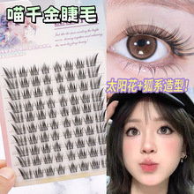 ��ǧ��ٽ�ë�I�������R�н�ë�냺ֱ���y��ȻDB����б�wĦ��