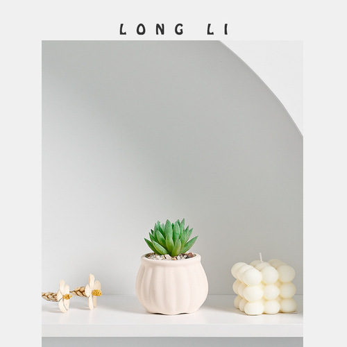 Longli Ceramic Succulent Planter Decor Home Decor Succulent Planter Wholesale Gardening Planter Ceramic Plant Pot
