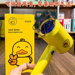 Home blow dryer, dorm portable electric hair dryer, cool and warm two-in-one, blue light constant temperature hair dryer, direct factory sale