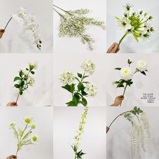 ��Ʒ�|��ɫϵ���滨�� ��Y�� ��c�ٻ� �����쾰������S�����l