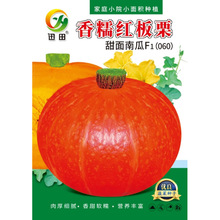 红甜栗红皮南瓜种子新品种红板栗南瓜小金瓜贝贝南瓜种子甜糯蔬菜