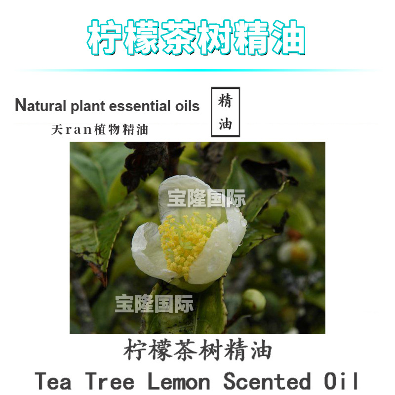 柠檬茶树精油 Tea Tree Lemon 柠檬细籽 单方精油 化妆品原料10ml