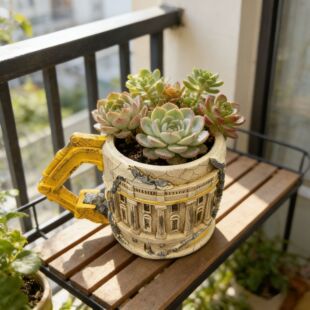 �����֬���⻨��[�� ���W�L�͹řCе���� �Ҿ��̨�b���������