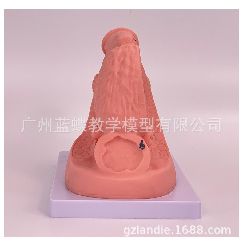 详情_10