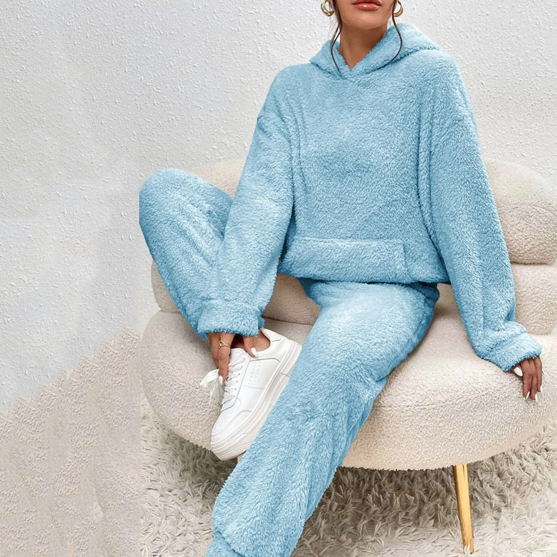 Cross-border Autumn Winter New European And American Casual Women's Clothing, Solid Color Plush Hooded_ecoleips.com