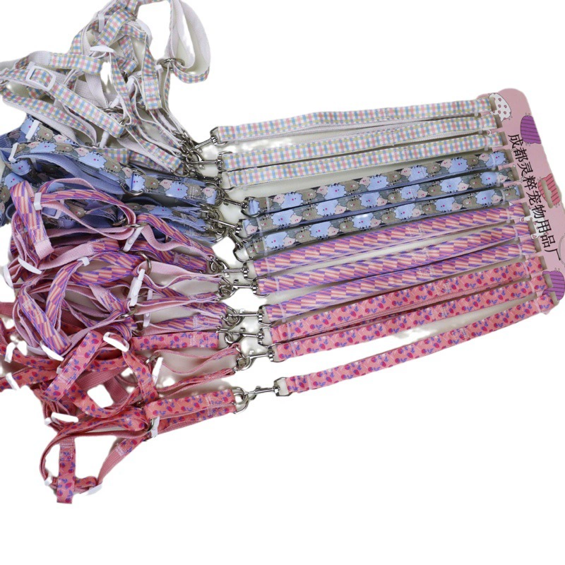 Набор поводков и шлеек для кошек и собак, для собак малых и средних пород, с выдвижной лентой, для зоомагазинов и супермаркетов.