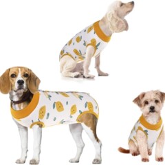 ペット用コットンケア服、不妊手術後服、犬用回復服、猫用ケア服、安全パンツ、保護パンツ