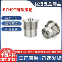 BCHPT�����ţ��������������ѹ��ʽ16/20/24��Ͳ��й���Բ��