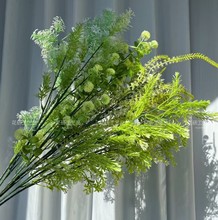 ����Gֲ�쾰�������ֲ��羳���l���~�Ӡ����bɴ��l�Gֲ