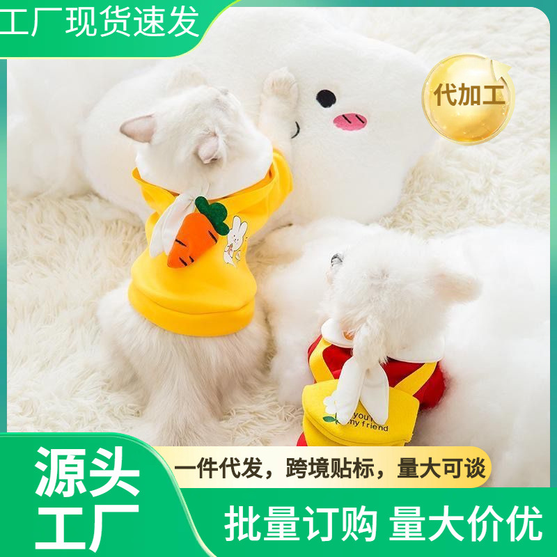 Lindo suéter de cachorro de primavera, otoño e invierno, traje de dos patas de gato, cachorro de perro pequeño, oso de peluche, ropa de oso de peluche