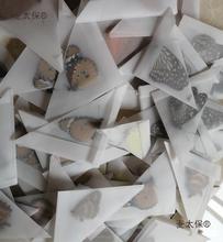 翅未实验儿童材料真蝴蝶手工收藏原蝶儿教学标本生手学生麦太保