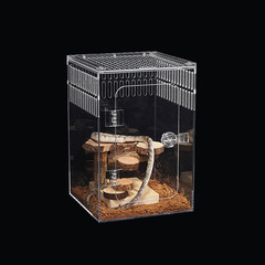 高清のアクリルは爬虫類の樹栖の専用の飼育箱のトカゲのクモに登ります。