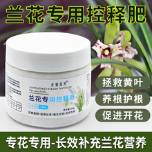 兰花专用肥促芽促花生根缓释肥兰科君子兰墨兰蝴蝶兰促开花促花肥