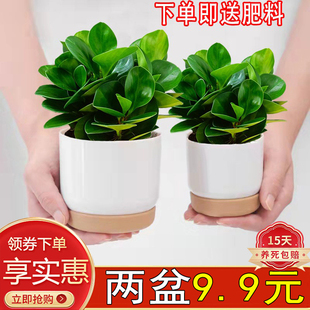 ���񶹰�G�մ����ԾGֲ�����҃ȿ͏d���B�����^��X��ؐ�ļ�����