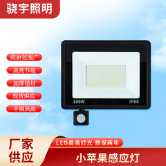 小さなアップル照明クロスボーダー LED ランプ赤外線人体誘導投光器屋外照明防水卸売ランプ