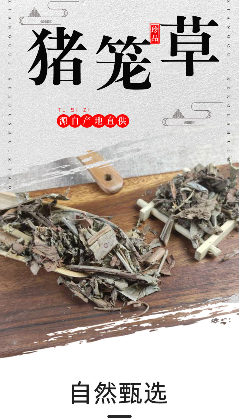Dried Nepenthes Whole Herb Zhu Long Cao 500g Traditional Herbal Material overview