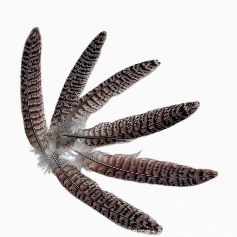 Haifeng wholesale natural pheasant tail feathers 10cm-65cm for costumes, Peking Opera, traditional dance performances, peacock feathers