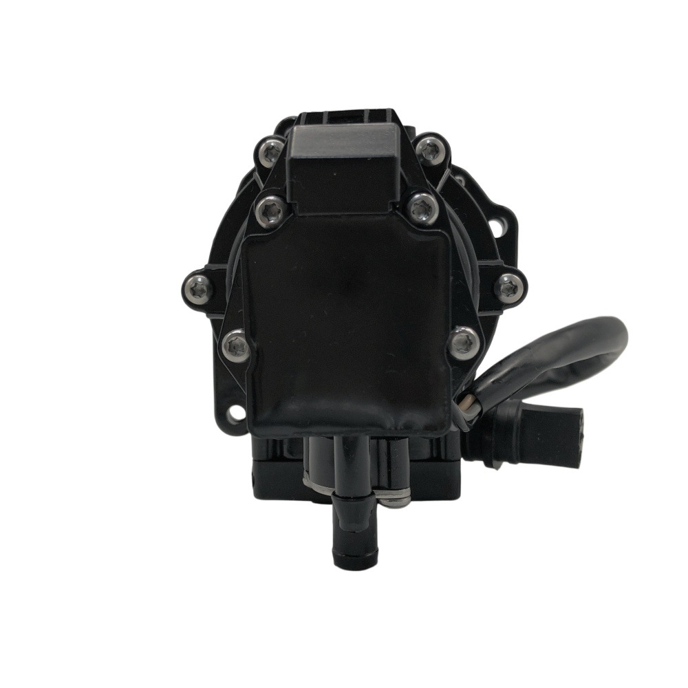 Carburetor Accessories Fuel Pump 5007422   Ryb-026