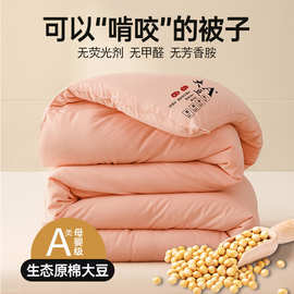 a类母婴级舒适大豆纤维棉单双人被子空调被午休被春夏薄被被芯