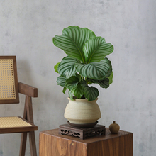 ���O���������ԁ����Lֲ���k���҃ȿ͏d������B���܃����՚����l