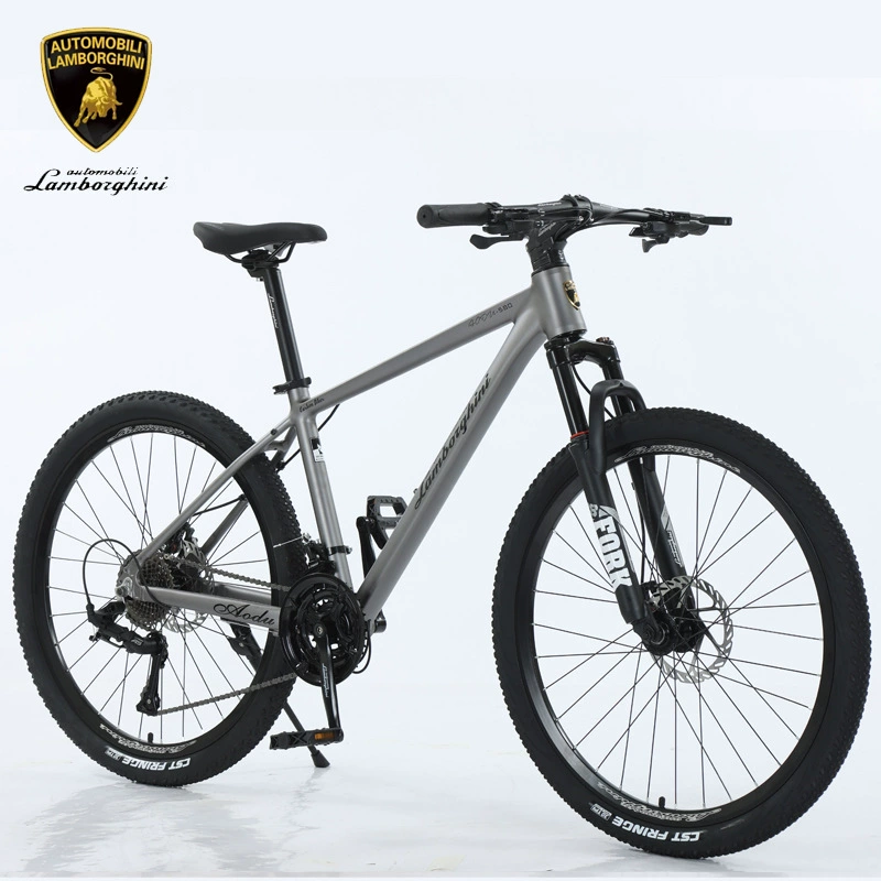 Lamborghini, mountain bike for elementary school students, Italy, official product, for teenagers