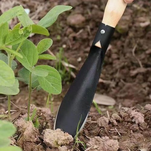 Garden shovel multifunctional gardening tool shovel digging wild vegetables and planting flowers shovel soil stainless steel hoe weeding shovel