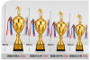 Customized metal trophy football basketball pigeon four -column trophy sports contest elementary school students Taekwondo trophy