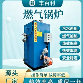 蒸汽发生器;燃煤锅炉;燃气锅炉