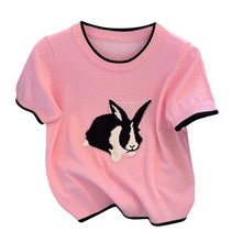 2023夏新款兔子刺綉短袖針織衫女圓領夏季設計感小眾正肩T恤上衣