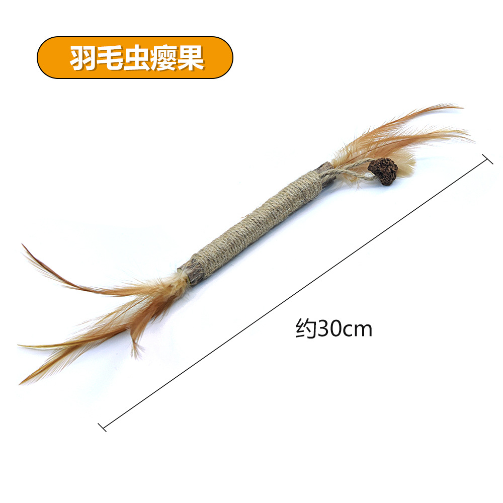 깃털 곤충 담즙 열매