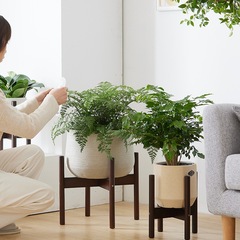 花架落地北欧十字花架阳台客厅鱼缸花盆植物绿萝多肉盆栽架花架子