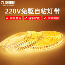 220v免驱动led灯带条2835贴片裸板高压自吊顶线槽喷胶防水可调光