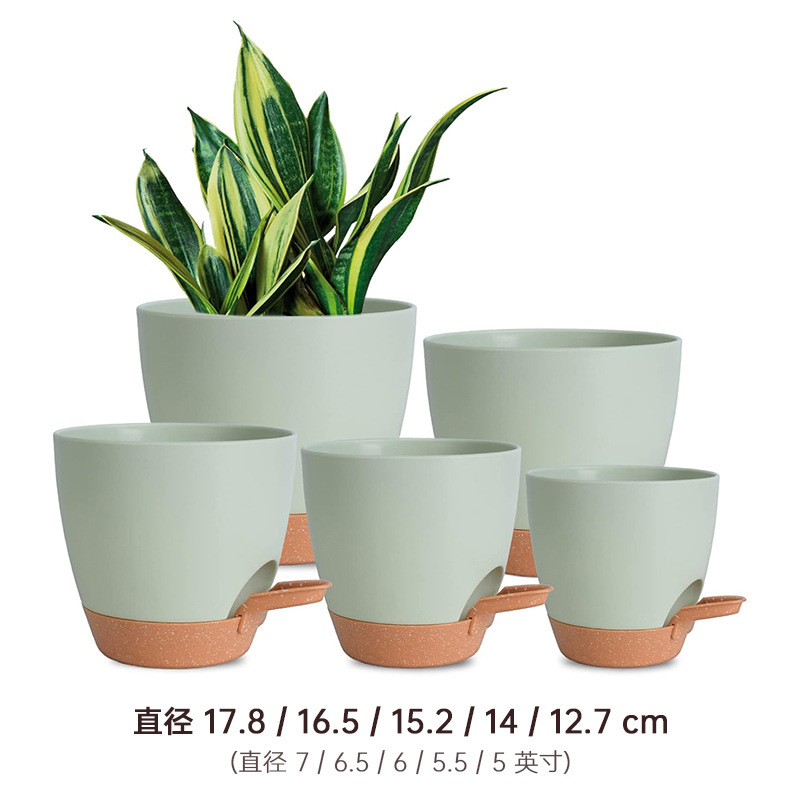 工場卸売りはプラスチックの植木鉢の新型ドレナージを厚くして、多肉緑羅植物の鉢植えに貯水底を持っている|undefined