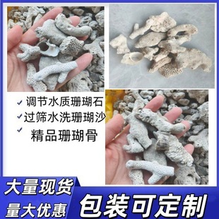 ����ɺ���ǞV���~�׃�ˮɺ��ʯ �����^�Bֳ��ɺ��ƽ��PHɺ����