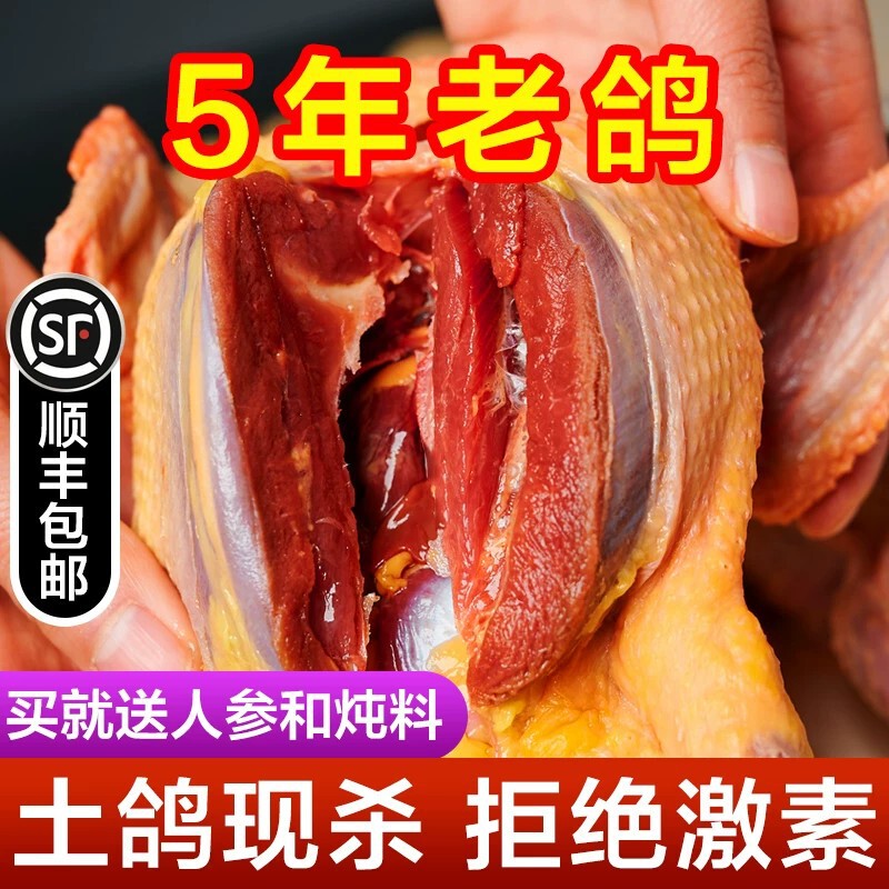 5-year-old pigeons, local pigeons, fresh pigeon meat, freshly slaughtered pigeons, pigeons for stewing, free-range baby pigeons, fresh and raw, 4 pieces