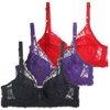 Black, purple, red