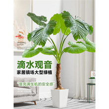 ��ˮ�^���Gֲ������~�Ϙ�С�~�k��ˮ��Gֲ�҃ȴ��Ϳ͏d����ֲ��