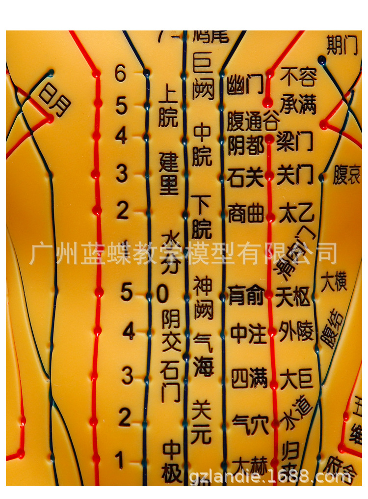5262cm针灸人_14