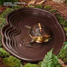 黄缘龟水盆可排水泡澡盆爬梯生态造景水族通用爬宠乌龟喝水