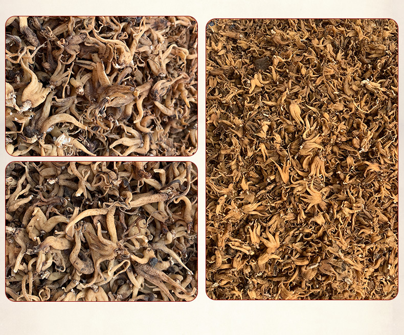 Dried Palm Ginseng Shou Zhang Shen Whole Root Tonic Herb for Cooking and Decoction 1 Jin quality and texture