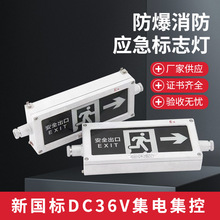 集中控制防爆应急灯智能消防应急疏散照明指示灯具安全出口标志灯