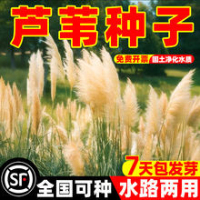 �JȔ�N���JȔ�ݷN���ͺ��������޸����у���ˮ�|�����o�����ݷN��