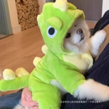 狗狗衣服秋冬新款可爱恐龙装泰迪比熊博美小型幼犬保暖宠物四脚衣