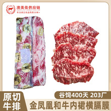 ���޽��P�˼��N��ţ��ȹ�M��Ĥԭ��ѩ��ţ��203�S����������l