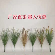 仿真芦苇把束 单支狗尾花把束造景装饰仿真蒲公英水草网红装饰
