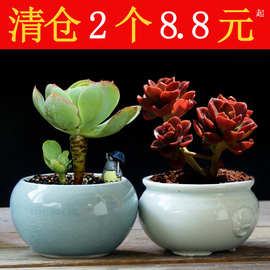 小号多肉花盆陶瓷清仓透气粗陶紫砂法师老桩盆小口径肉肉陶罐花器