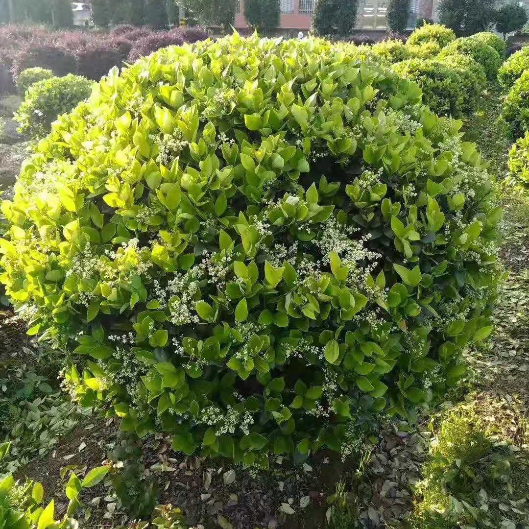 2024-03-26 20:34:24.jpg