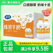 6月产】夏进炼乳牛奶500ml*12瓶/箱装奶香浓郁营养早餐好物
